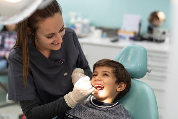 Best Urgent Tooth Repair  in Stewartville, MN